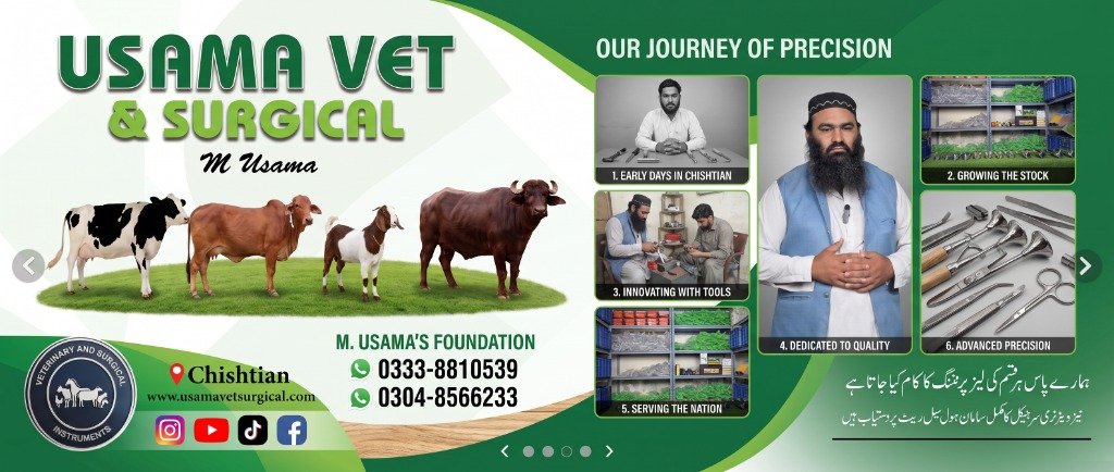 Our Business Story